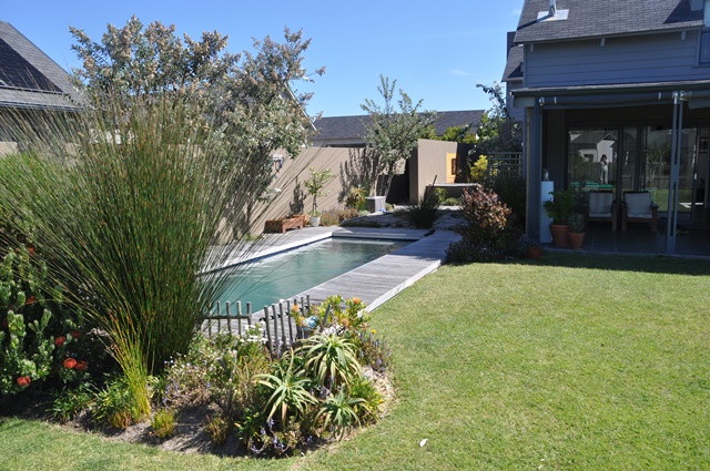 Olea House